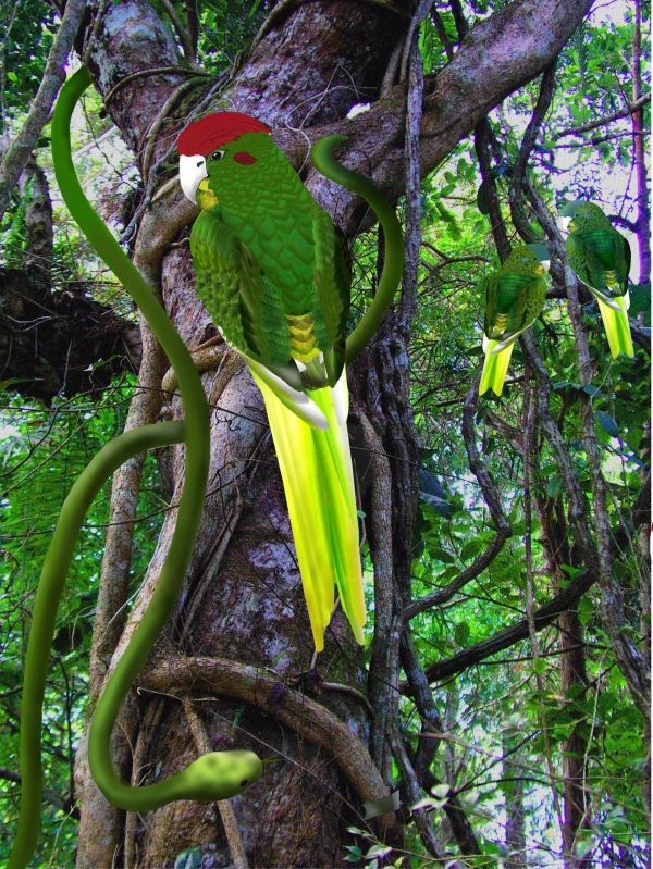 Creation of Jungle Life: Step 19